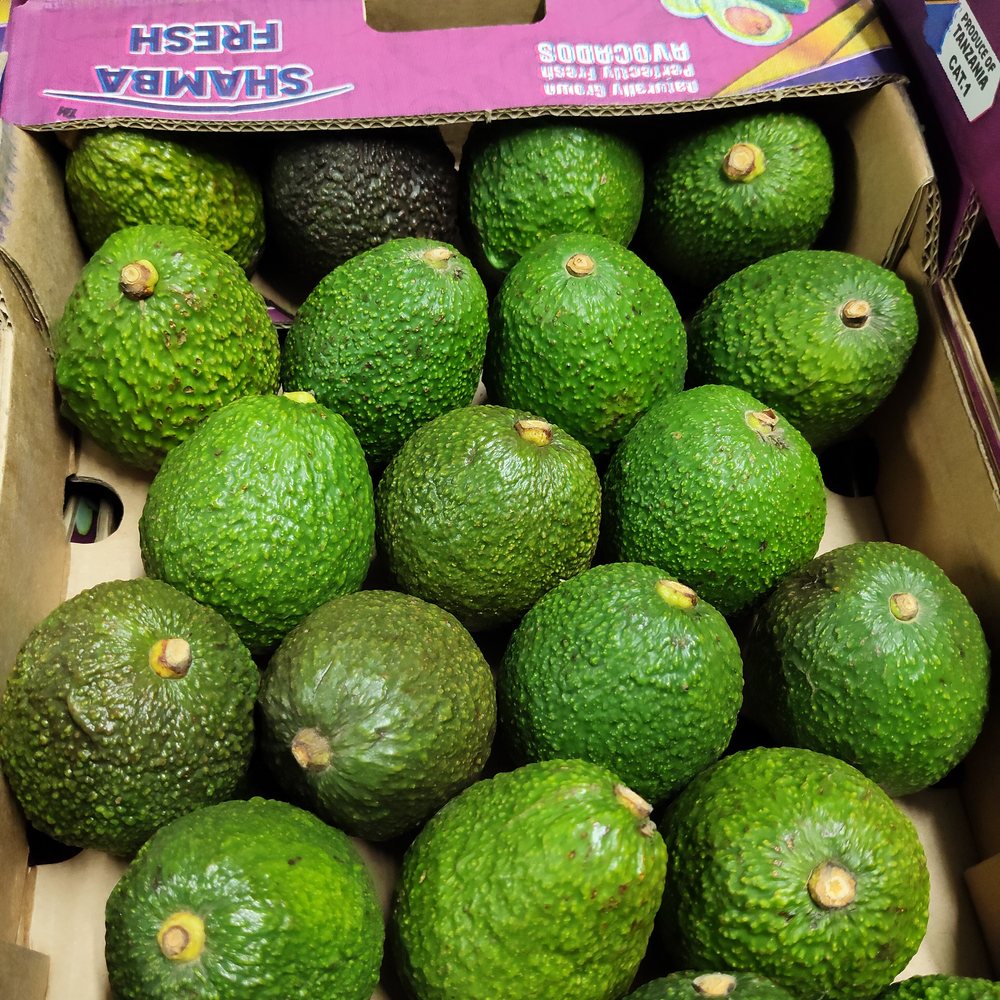 Hass avocados packed in a Shamba Fresh carton