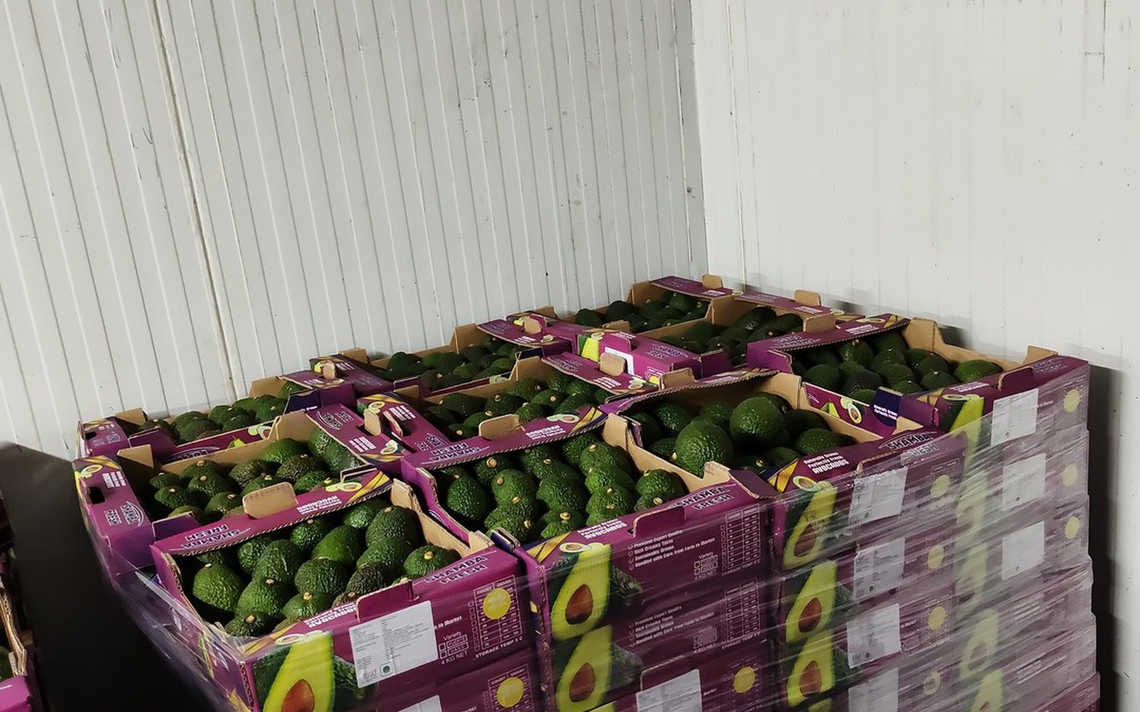 Pallet of Shamba Fresh cartons in cold storage