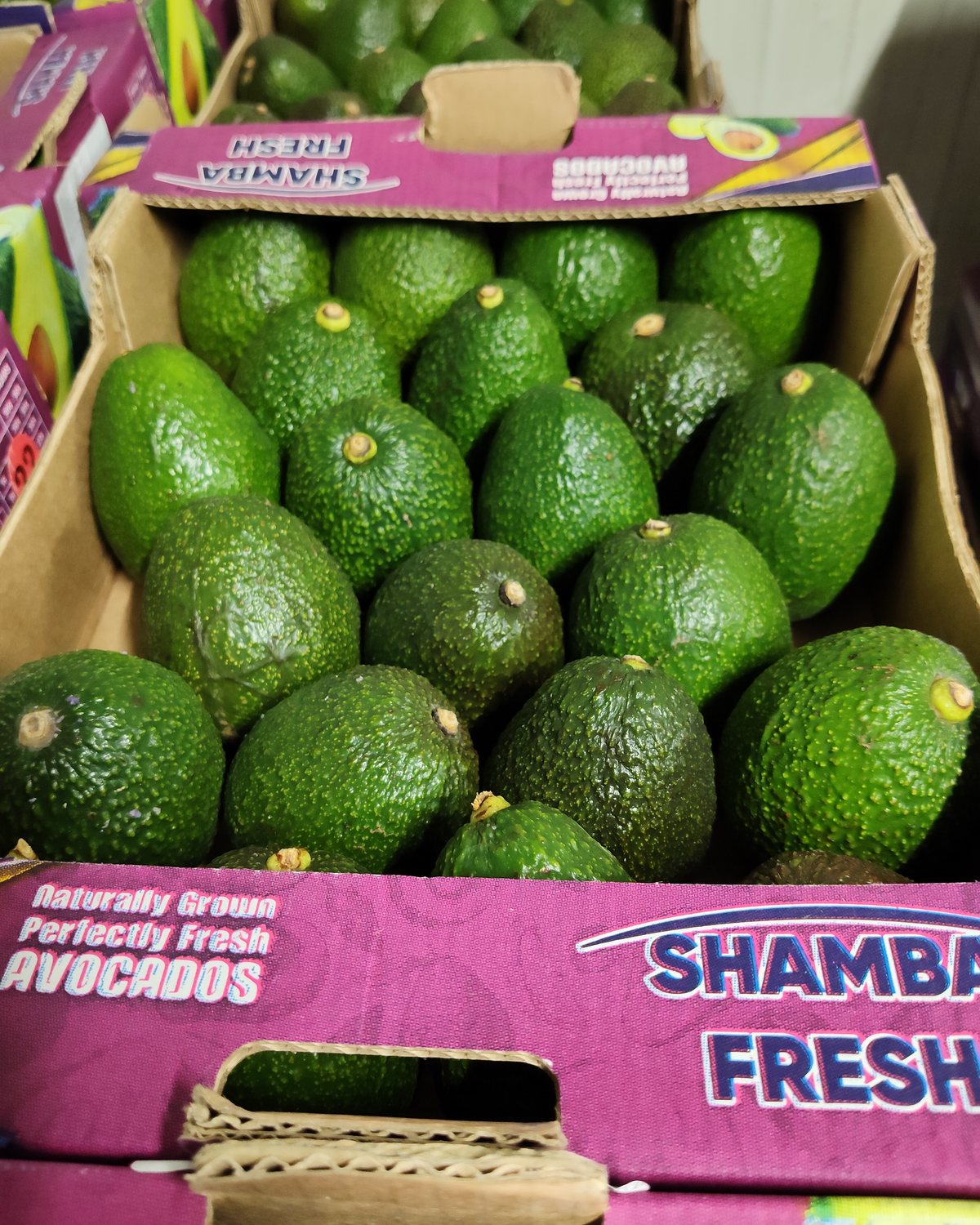 Open Shamba Fresh carton of Hass avocados